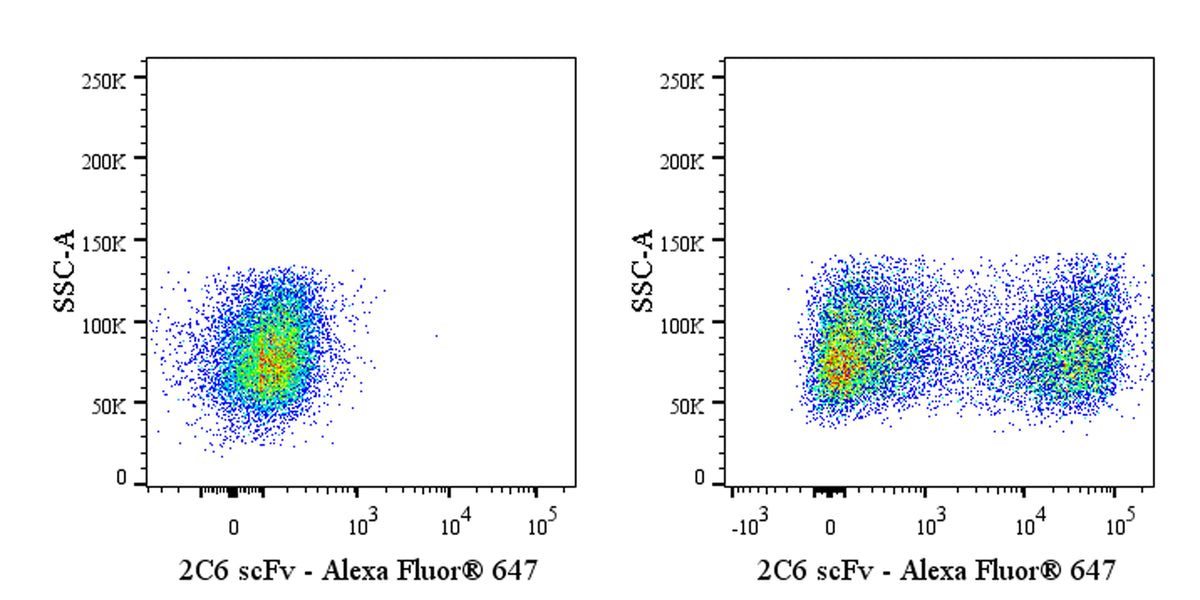 Anti-Human 2C6 scFv (Anti-CD20 CAR-T) Recombinant Rabbit mAb (Alexa Fluor® 647 Conjugate) (S-5413)