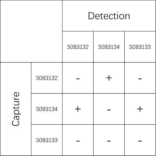 Galectin-3 Recombinant Rabbit mAb (SDT-370-63)