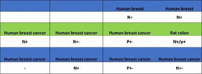 BRCA1 Recombinant Mouse mAb (S-4707)