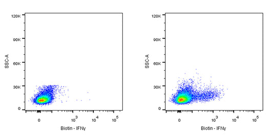 Biotin Rat Anti-Mouse IFNγ Antibody (XMG1.2)