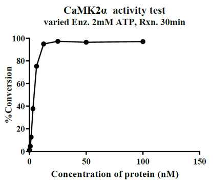 CaMK2A GST Tag Protein, Human