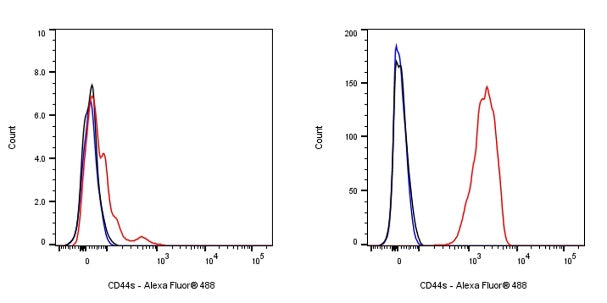 CD44 Recombinant Rabbit mAb (S-944-25)