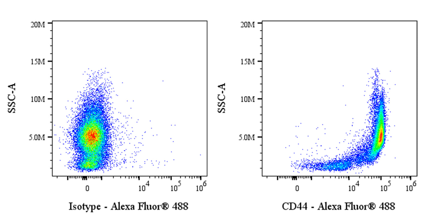 Alexa Fluor® 488 Rat Anti-Mouse/Human CD44 Antibody (IM7)