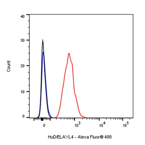 HuD/ELAVL4 Recombinant Rabbit mAb (S-1351-159)