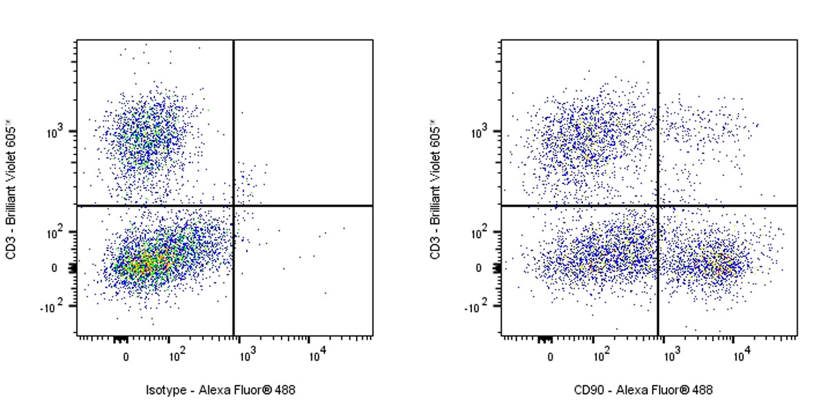 Mouse Anti-Rat CD90 Antibody (S-R687)