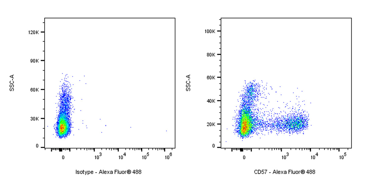 Mouse Anti-Human CD57 Antibody (S-3011)