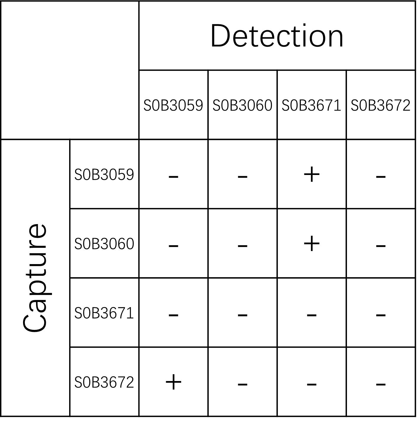 BD-Tau Recombinant Rabbit mAb (SDT-2848-20)