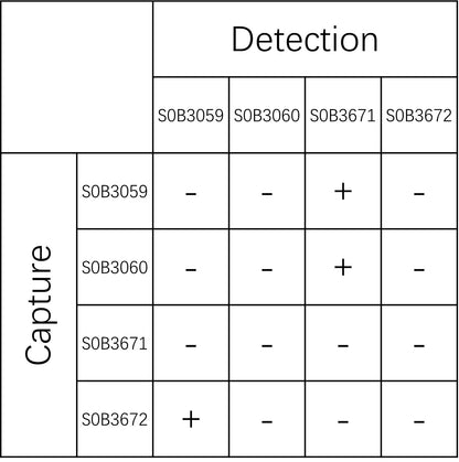 BD-Tau Recombinant Rabbit mAb (SDT-2848-20)