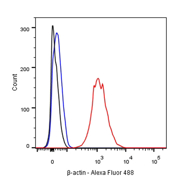 β-actin Recombinant Rabbit mAb (Alexa Fluor® 488 Conjugate) (SDT-R015)