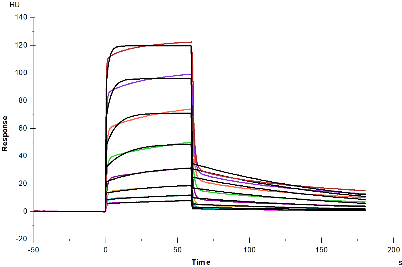 CD48 His Tag Protein, Human