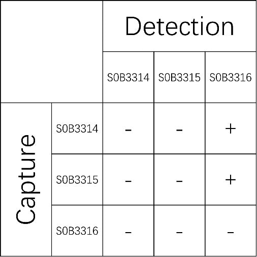 CA19-9 Recombinant Rabbit mAb (SDT-238-38)