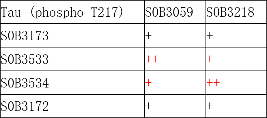 Tau (phospho T217) Recombinant Rabbit mAb (SDT-176-235)