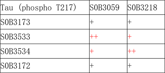 Tau (phospho T217) Recombinant Rabbit mAb (SDT-176-235)