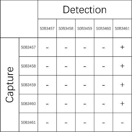 ApoE4 Recombinant Rabbit mAb (SDT-1849-68)