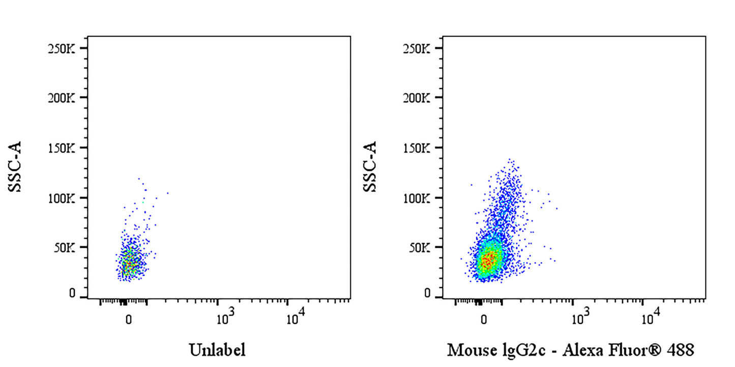 Invivo Mouse IgG2c Isotype Control, anti-Dengue Virus