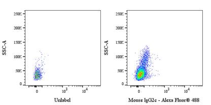 Invivo Mouse IgG2c Isotype Control, anti-Dengue Virus