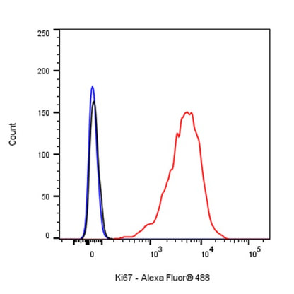 S-RMab® Ki67 Recombinant Rabbit mAb (SDT-R459)
