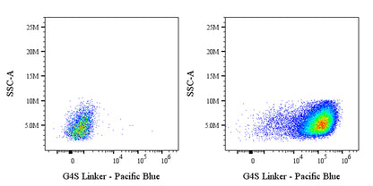 G4S Linker Recombinant Rabbit mAb (Pacific Blue Conjugate) (S-5030)