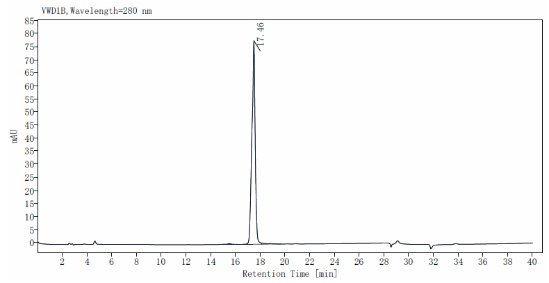 IL-18BP Protein, Human