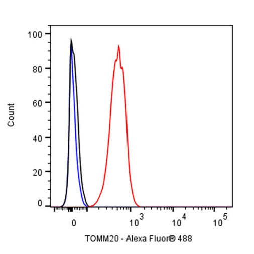 TOM20 Recombinant Rabbit mAb (SDT-2553-11)