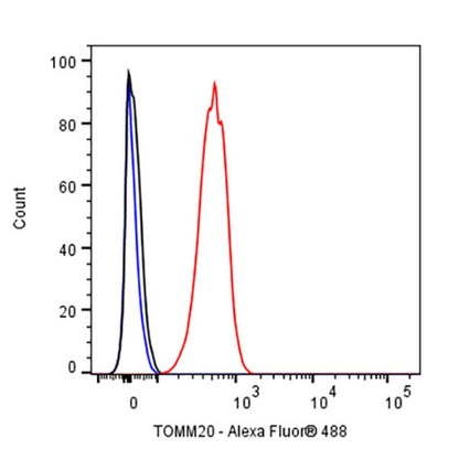 TOM20 Recombinant Rabbit mAb (SDT-2553-11)