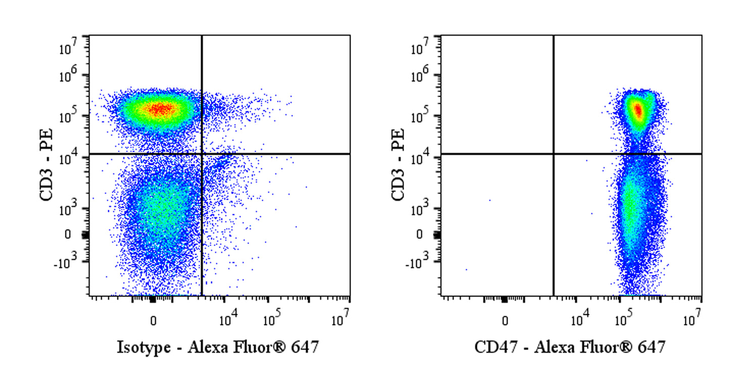 Alexa Fluor® 647 Mouse Anti-Rat CD47 Antibody (OX-101)