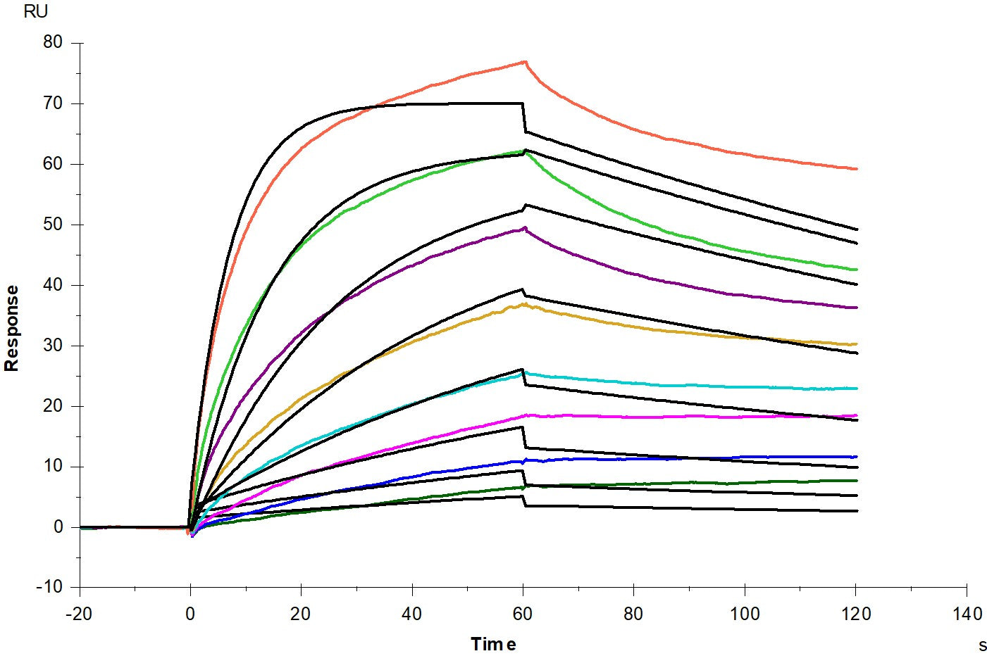 FGF-1 Protein, Mouse