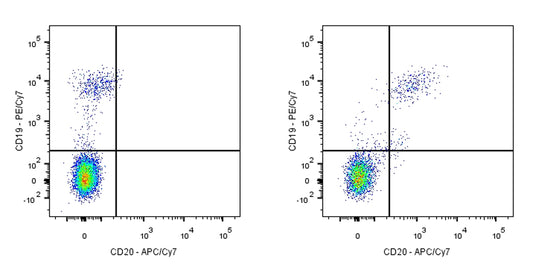 APC-Cy7 Mouse Anti-Human CD20 Antibody (2H7)