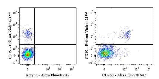 Alexa Fluor® 647 Mouse Anti-Human CD268 (BAFF Receptor) Antibody (11C1)