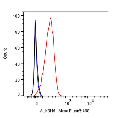 ALKBH5 Recombinant Rabbit mAb (S-2264-39)