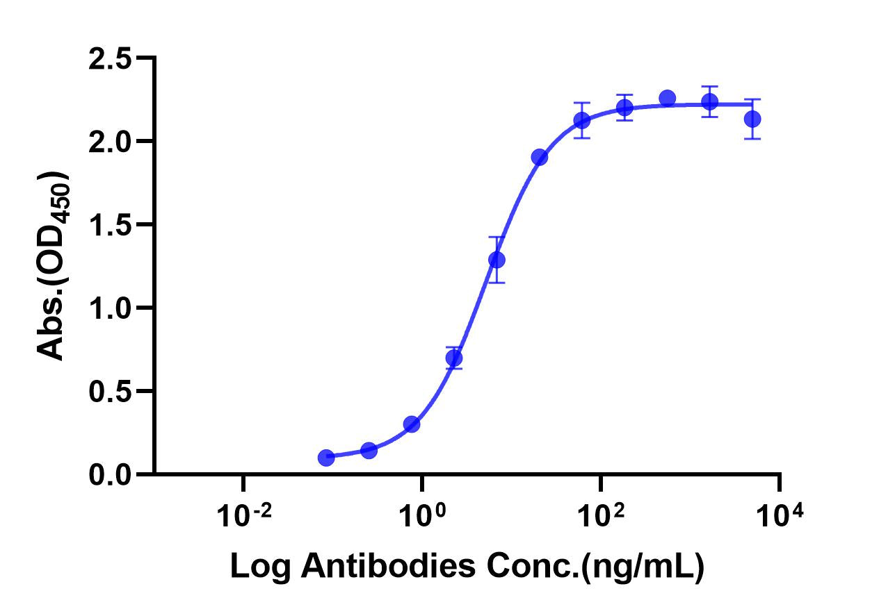 Anti-Human CD19 Monoclonal Antibody (Coltuximab)