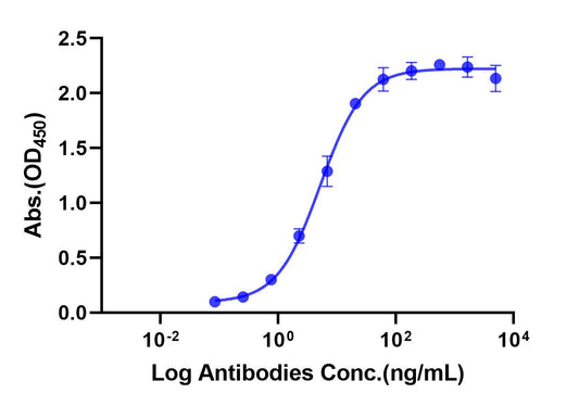 Anti-Human CD19 Monoclonal Antibody (Coltuximab)