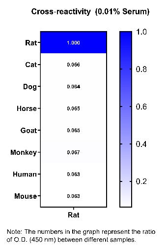 Rat IgM Serum & Plasma OneStep ELISA Kit