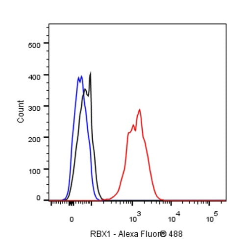 RBX1 Recombinant Rabbit mAb (S-R355)