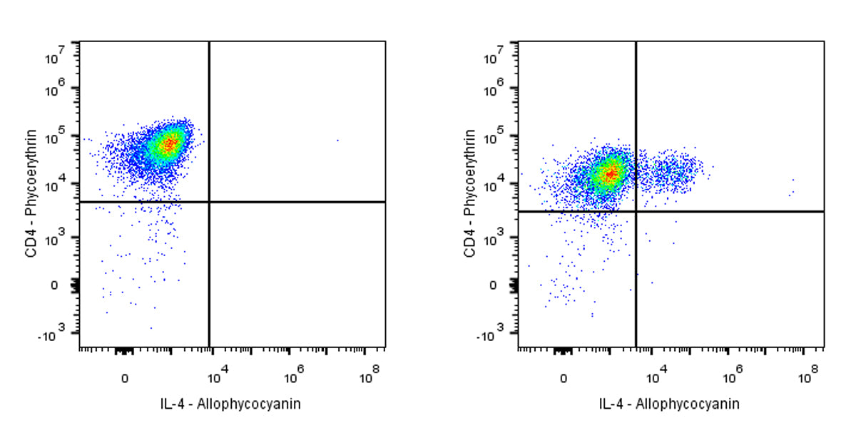 APC Rat Anti-Human IL-4 Antibody (MP4-25D2)