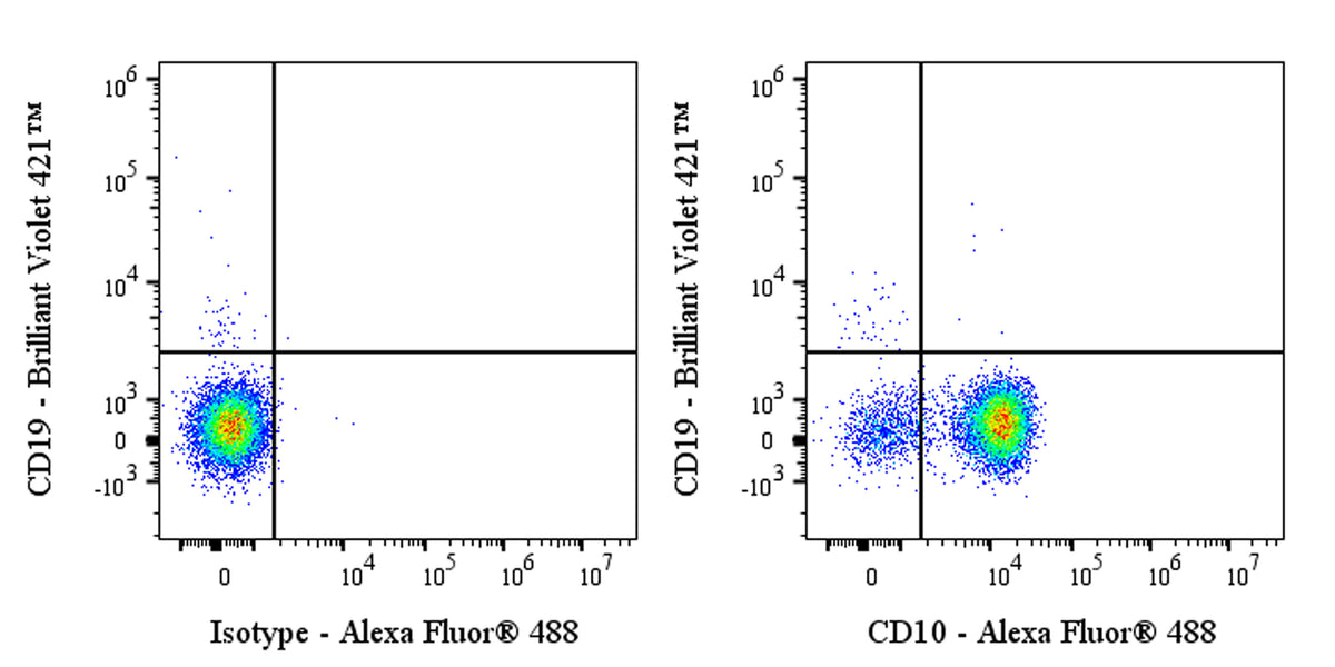 Alexa Fluor® 488 Mouse Anti-Human CD10 Antibody (S-713-5)
