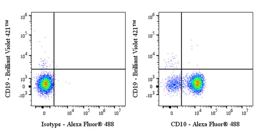 Alexa Fluor® 488 Mouse Anti-Human CD10 Antibody (S-713-5)