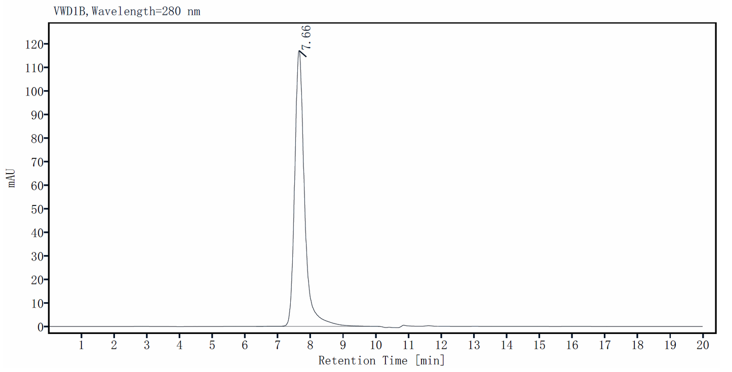 ErbB3/Her3 His Tag Protein, Human