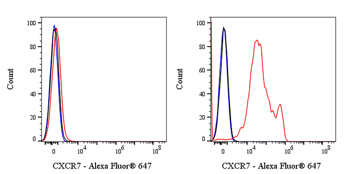 Mouse Anti-Human/Mouse CXCR7 Antibody (S-3127)