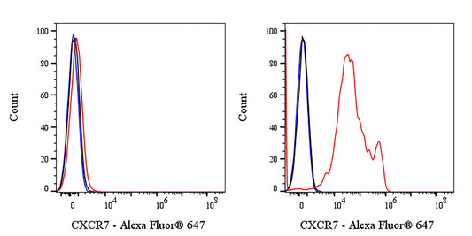 Mouse Anti-Human/Mouse CXCR7 Antibody (S-3127)
