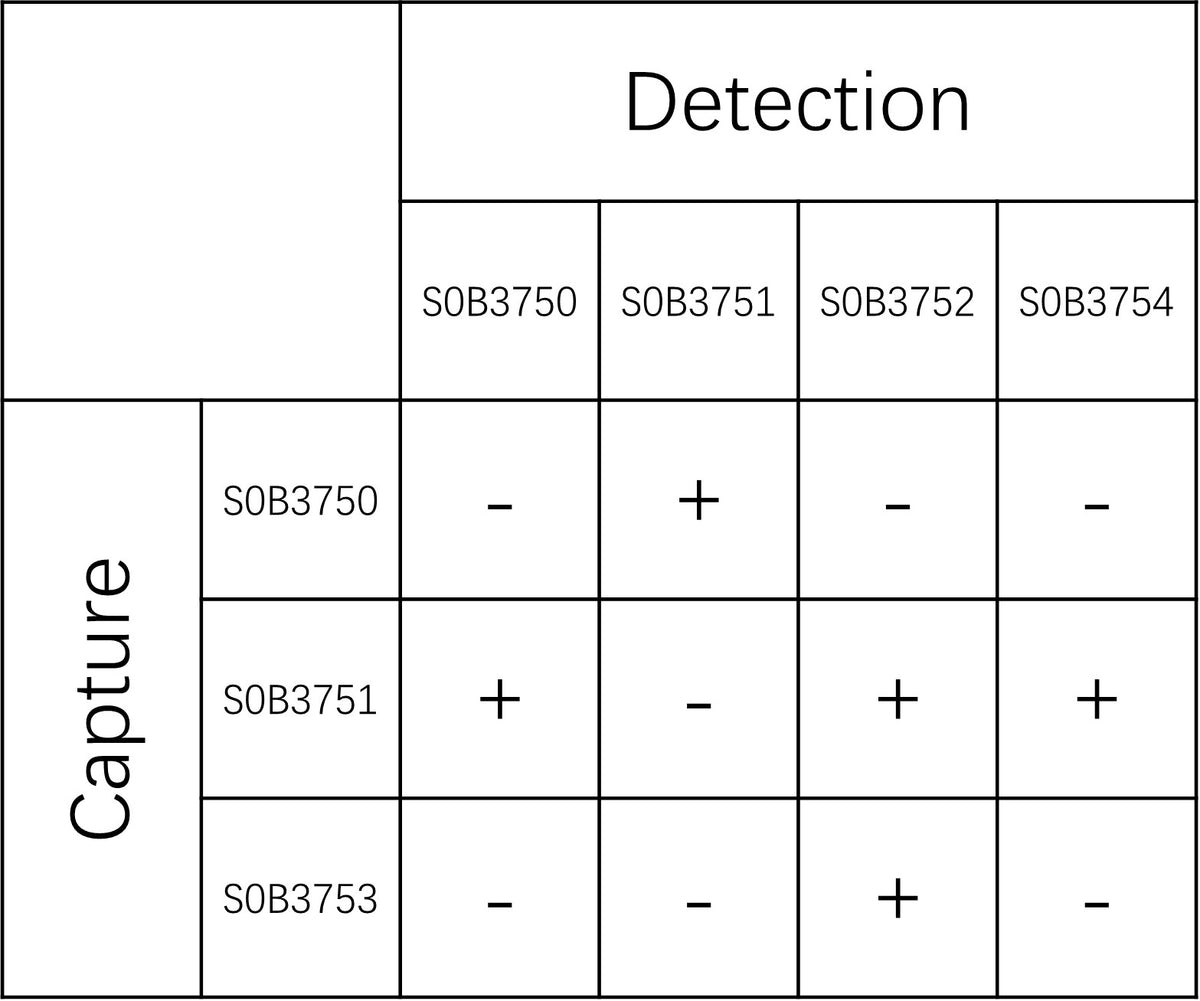 FOLR1 Recombinant Rabbit mAb (SDT-3635-115)