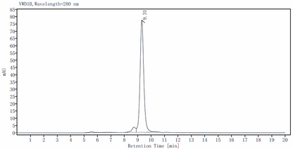 IL-4 Protein, Rat