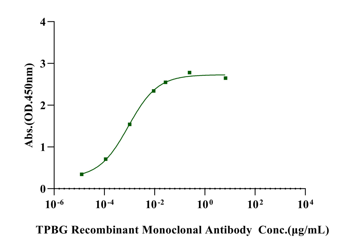 TPBG/5T4 Fc Chimera Protein, Human