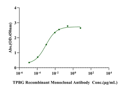 TPBG/5T4 Fc Chimera Protein, Human