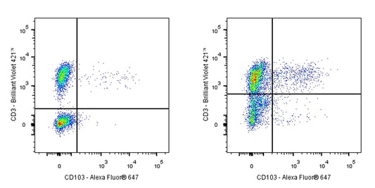 Mouse Anti-Human CD103 Antibody (Ber-ACT8)