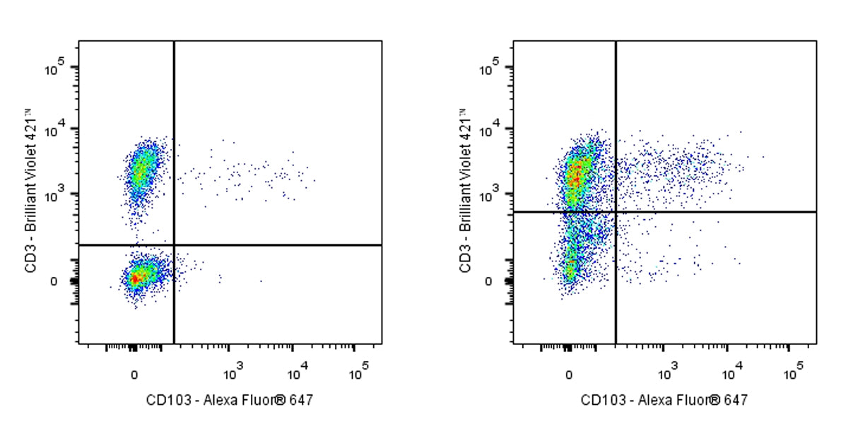 Mouse Anti-Human CD103 Antibody (Ber-ACT8)