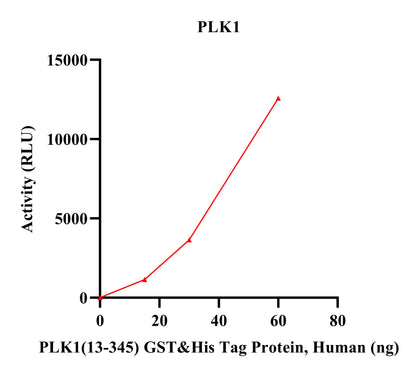 PLK1(13-345) GST&His Tag Protein, Human