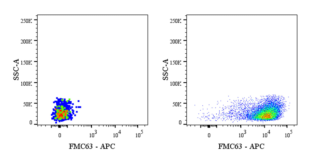 FMC63 Recombinant Mouse mAb (APC Conjugate) (S-5031)
