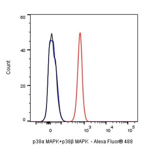p38α MAPK+p38β MAPK Recombinant Rabbit mAb (S-1300-102)