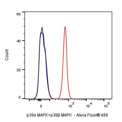 p38α MAPK+p38β MAPK Recombinant Rabbit mAb (S-1300-102)